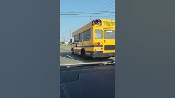 The Short Bus