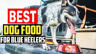✅ Top 5 Best Dog Food for Blue Heelers in 2023