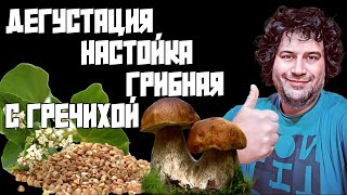 НАСТОЙКА ГРИБНАЯ С ГРЕЧИХОЙ ОТ АЛТАЙСКОГО ВИНОКУРА | ФИЛЬТРУЕМ И ДЕГУСТИРУЕМ