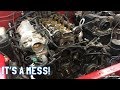 Miata Teardown! (Water Pump and Timing Belt Replacement)