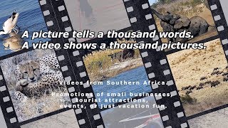 Lenstracks Youtube Trailer