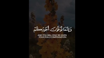 تلاوة هادئة خاشعة لراحة قلبك 🥺🤍