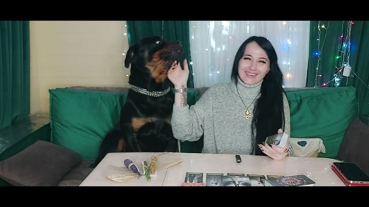 СУЖЕНЫЙ МОЙ РЯЖЕНЫЙ, КАКАЯ ЛЮБОВЬ ЖДЁТ ВАС В НОВЫЙ ГОД. # ...