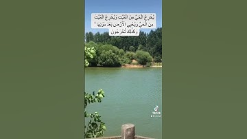 يُخْرِجُ ٱلْحَىَّ مِنَ ٱلْمَيِّتِ وَيُخْرِجُ ٱلْمَيِّتَ مِنَ ٱلْحَىّ♥️آيات قصيرة ♥️