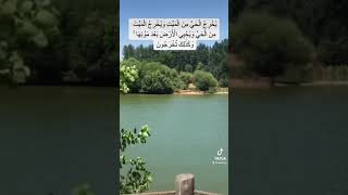 يُخْرِجُ ٱلْحَىَّ مِنَ ٱلْمَيِّتِ وَيُخْرِجُ ٱلْمَيِّتَ مِنَ ٱلْحَىّ♥️آيات قصيرة ♥️