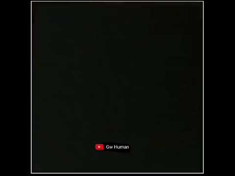 Allu Arjun Save His Father S Life Killer Attitude Allu Arjun Save Attitude Video