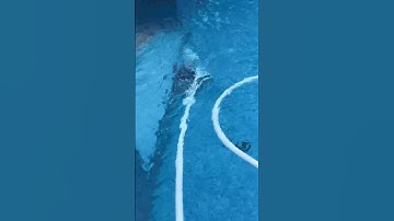 Polaris 360 Pool Cleaner #ad #earns