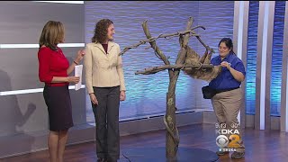 National Aviary Hosting Special Holiday Events