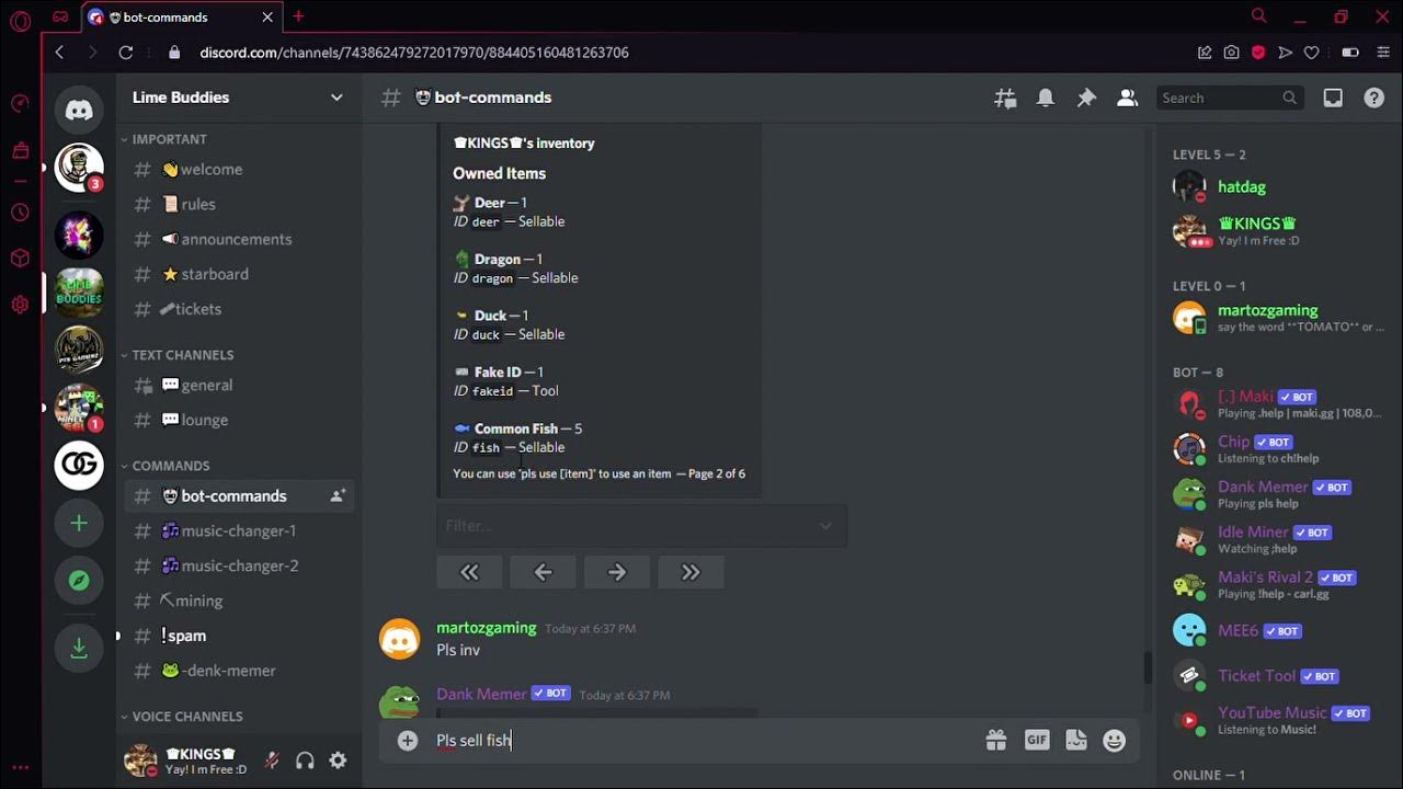 How To Earn Dank Memer Coins Fast Every Day (Profit xD) YouTube