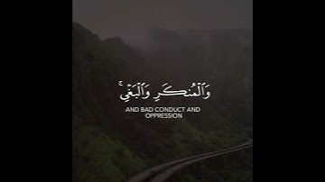 سورة النحل | القارئ بدر التركي