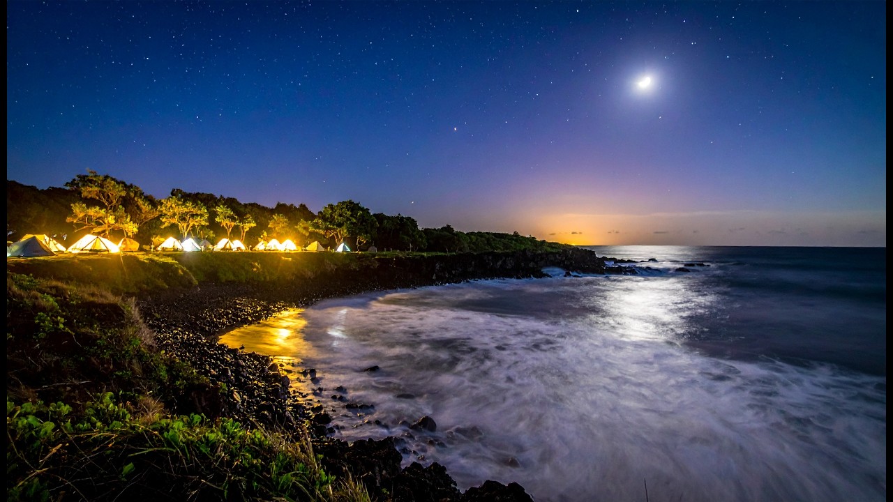 16 серия 13 сезона сериала «Остров дубов» шокирует всех – наконец-то найдено спрятанное сокровище!