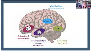 The Science Behind LearningRx Reading Programs