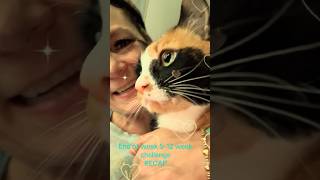 End of week 5-12 week challenge MY JOURNEY#fitness#viral #motivation#foryou#subscribe#youtubeshorts