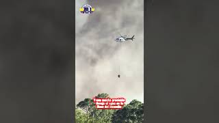 Equipo aéreo forestal de Florida en acción 