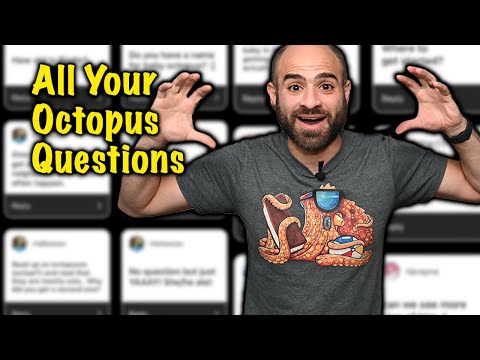 All your OCTOPUS QUESTIONS ANSWERED!!!