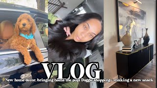 VLOG| NEW HOME DECOR, BRINGING THE PUPPY HOME! MAKING A NEW SNACK + SHOPPING.