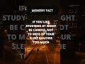 Watch This If You Study Late in the Evening