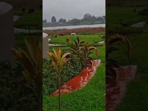 شوف جمال الطبيعة اديس بابا افريقيا اليمن السعودية مصر العالم الشروق الغد الجزائر موريتانيا