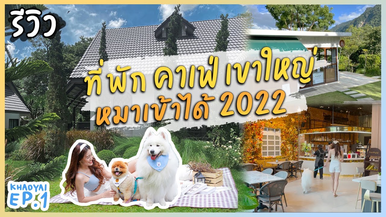 รีวิว ที่พัก คาเฟ่ หมาเข้าได้ เขาใหญ่ 2022 (The Author Khaoyai) | Khaoyai EP.1  - YouTube