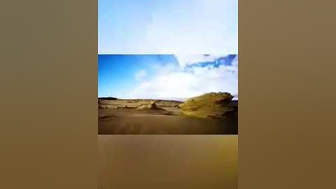 ((الله يعلم ما تحمل كل انثى )) تلاوة خاشعة😍
