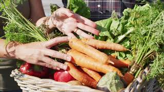 V2 Vila Nova da Telha