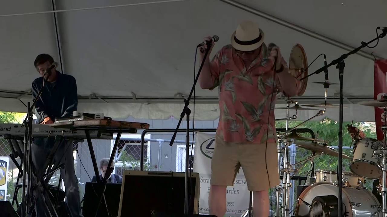 #02 Bill Brown and the Kingbees at the Beer Garden, Vashon Strawberry Festival 2016