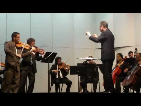 Concierto para dos violines y orquesta de cuerdas ...