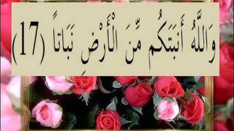 القران الكريم سورة نوح الاية  17