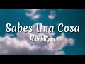 Sabes Una Cosa - Luis Miguel ( Letra + vietsub )