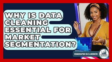 Why Is Data Cleaning Essential For Market Segmentation? - Demographic Data Answers