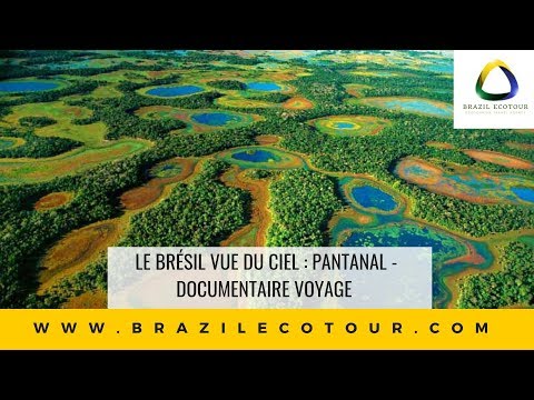 Vidéo: 4 Façons D'accéder à La Région Du Pantanal Au Brésil - Réseau Matador