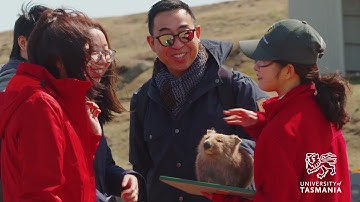 Study at the University of Tasmania