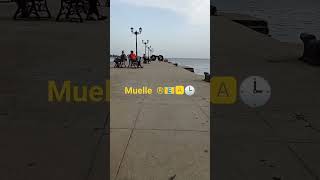 Muelle Real en Cienfuegos #reel #cienfuegos