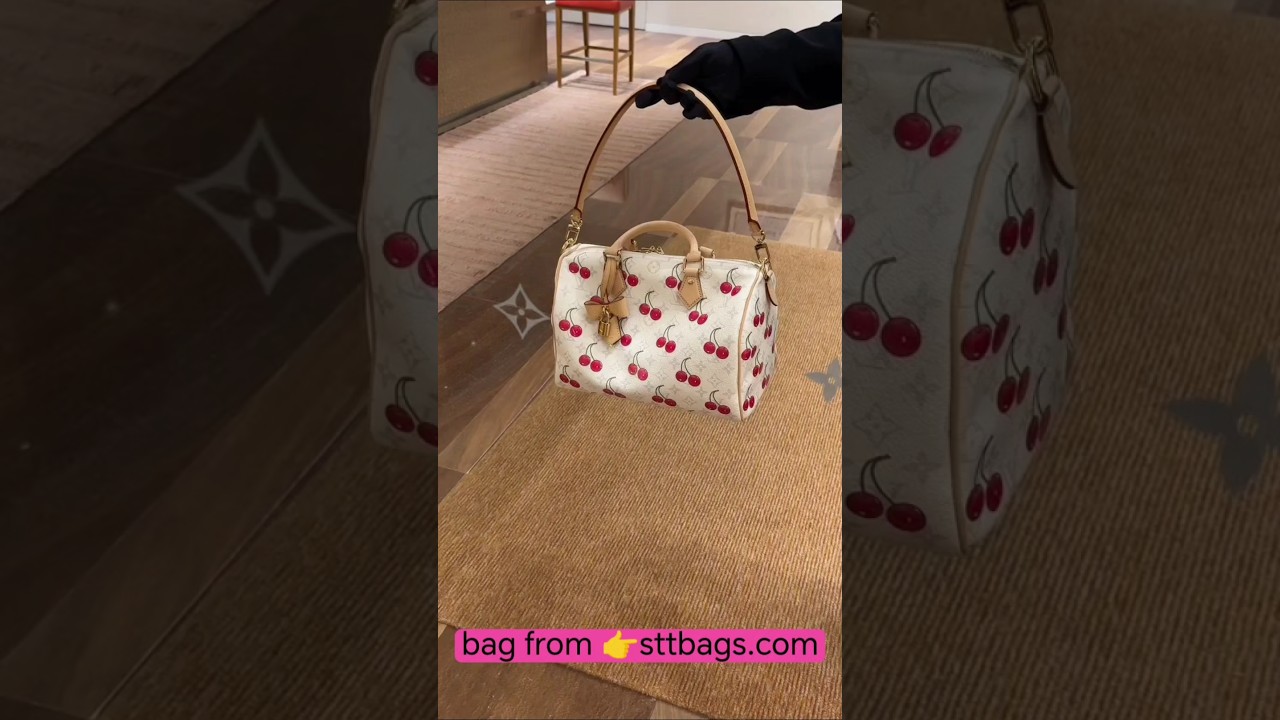 LOUIS VUITTON Monogram LV x TM Speedy Soft Bandoulière 30 M14238