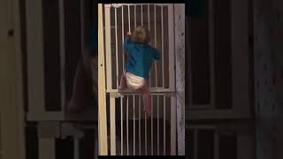 Видео Годня ребенок перелезает через железную дверь (автор: тор ТВ)