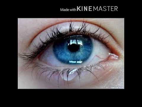 Оляксандр Олесь Чари ночі