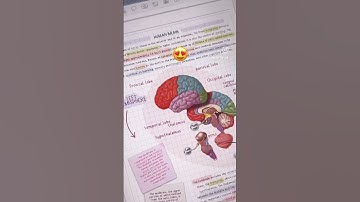 My Aesthetic Notes - Take Notes with Me ✏️💕  , iPad Note-taking, GoodNotes5, Aesthetic Digital Notes