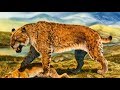 Saber Toothed Cat - Ancient Animal