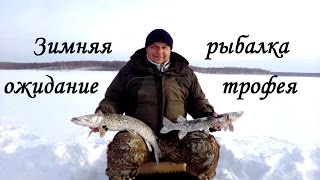 Ожидание трофея. Зимняя рыбалка 2015 на Бурейском водохранилище FISHINGALTSEV