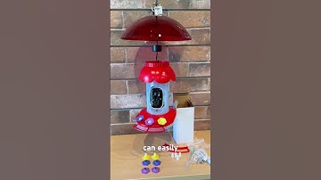 Smart Feeder Camera: Setup and Hidden Features