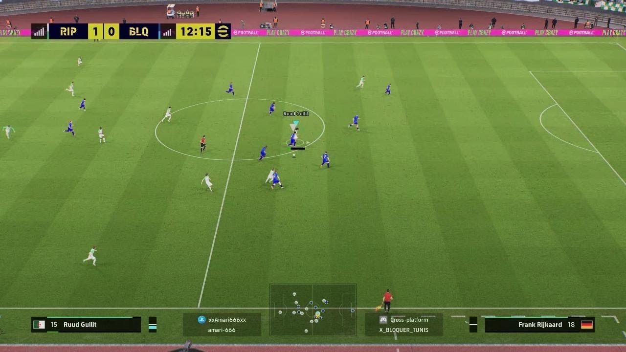 Top100 n 30 winstreak badge