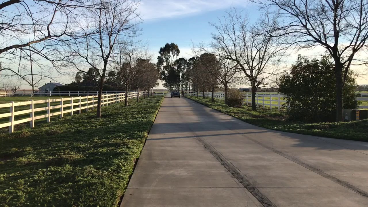 LS6 Chevelle burnout #2