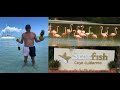 Обзор отеля Starfish Cayo Guillermo. Куба 2023
