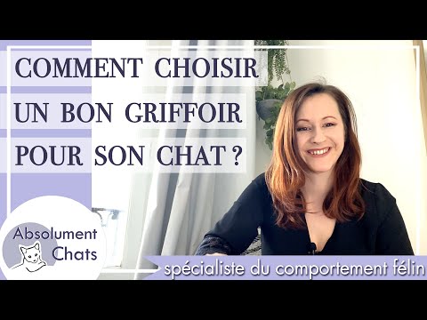 Vidéo: Choisir Un Griffoir Pour Chat