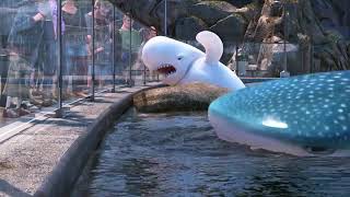 Finding Dory full move
