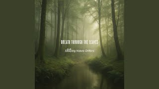 Silent Meadow Drift