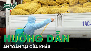 Cẩm nang Hướng dẫn phòng tránh COVID-19: An toàn tại cửa khẩu