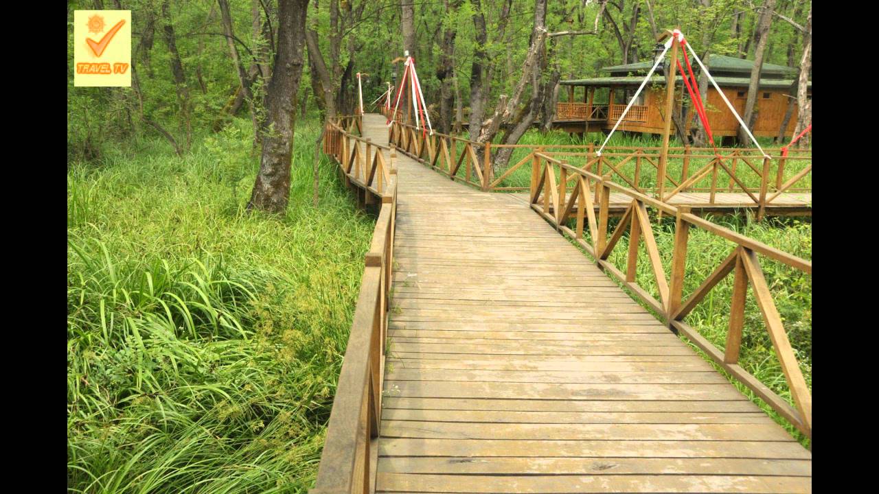 Samsun (TURKEY) YouTube