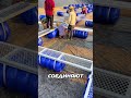 Рыбная Ферма Которая Приносит МИЛЛИОНЫ