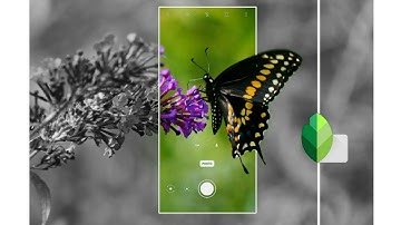 3d mobile frame photo editing tutorial | Snapseed | Editor SI